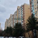 압구정-124 이미지