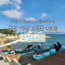 갸또빌라쥬 | 코랄라니, 부산 기장 오션뷰 대형 카페