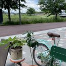 운정카페 이미지