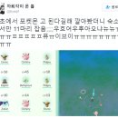 [하트세라피 광주미술심리상담센터] 포켓몬 고(Pokemon GO) &#34;한국에서도 된다?&#34; 이미지