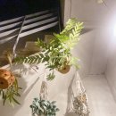 하유일기 이미지