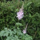 더 남산 이미지