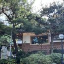동구릉 | 동구릉 옆 한옥카페 카페동구릉 이용후기