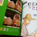 천재교육/월간우등생학습+잡지(우등생논술) 2016년 6월호 이미지