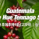 감탄커피 - 송파구 올림픽로35가길 11 | 감탄커피