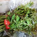 계선농장 이미지