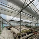 인수다육 이미지