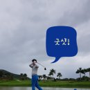 세진세무회계 이미지