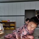 금산유치원 이미지