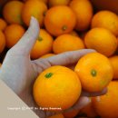 태현농장 이미지