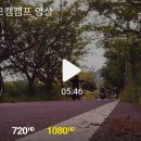 더킹투어 이미지