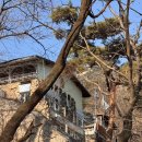 신기천축사 네이버블로그