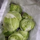 법이네 야채가게 이미지