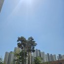 500칼로리 소모 점핑운동, 다이어트 도전 ! 평택점핑 힐링점핑 다이어트 센터