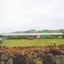 탕탕(TANG TANG) 이미지