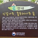 경북 봉화 옥돌봉(옥석산 1,242m)...도래기재에서 오전약수까지~.. 이미지