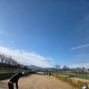 강릉파크골프장 | 판테온 파크베어 PB-500 파크골프채 사용후기(8) ㅡ 강릉파크골프장: 합리적인 거리표시