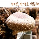 푸르내 농산