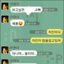 카카오톡 웃긴대화 웃긴짤 모음 신판 이미지