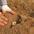 양수농장 이미지