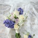 (주)까미노 이미지