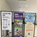 경도정비 | 속초여행 숙소 속초 수영장 호텔 체스터톤스 호텔 슈페리어 더블룸 수영장 시간