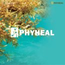 파이힐(주) 이미지