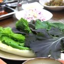 탐라는제주생고기