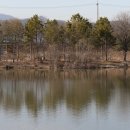 경안천습지생태공원 이미지