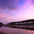 충청도 무료 차박·캠핑, 여기라면 낭만 끝판왕! 🏕️ 바다, 강, 호수 명소 총정리 (주차, 화장실, 꿀팁까지)