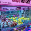 캑티가챠샵(CACTI GACHA SHOP) 이미지