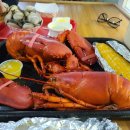 메인(Maine)주를 다시 가려고 한다. 이미지