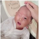 목욕 | 신생아 아기욕조 추천 아가방좋은 아기 목욕 후기