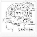 서이수와 김도진의 뇌구조 이미지