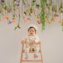 사진찍는풍뎅씨 | 돌준맘 돌잔치 준비하기! 사진찍는풍뎅씨 감성 돌사진 촬영 후기