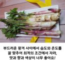 거창왕겨