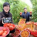 창조마을 이미지