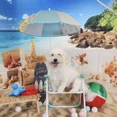 멍더가든 이미지