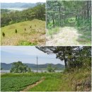 낙동강변로4-8 이미지