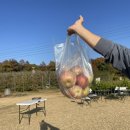 도라산농장 이미지