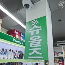 슈올즈신정 - 남구 월평로 50 | 울산 슈올즈에서 발편한신발 선물 구매한 후기!