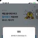 씨제이올리브영전북