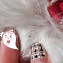 튼튼약국 이미지