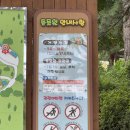 장애인 행복쉼터 | 청주 가을에 아이랑 가볼만한곳 청주동물원 재개장 입장료 유모차 사자 호랑이 모노레일 후기