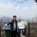 상락원 | 2026년 3월 청계산 옥녀봉 산행(상락원 청계밥상)