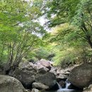 배영농장 이미지