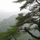 광성장여관 이미지