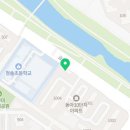 팜어스약국 네이버블로그