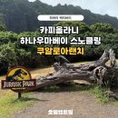 하와이 | 하와이 액티비티 추천 후기 | 스노클링, ATV