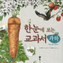 한솔식물